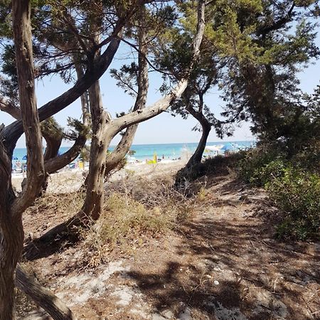 ポルト・オッティオル Casa Turquoise Blueヴィラ エクステリア 写真