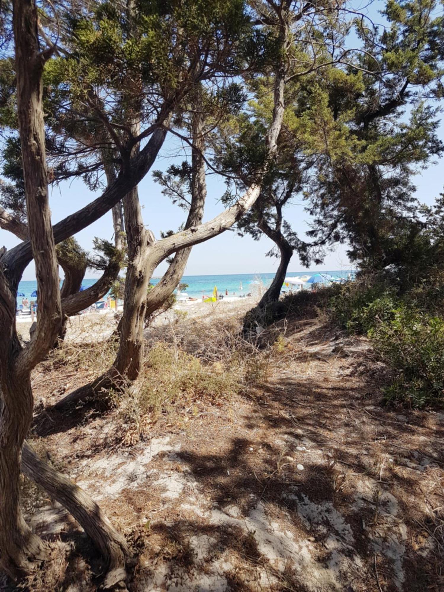 ポルト・オッティオル Casa Turquoise Blueヴィラ エクステリア 写真